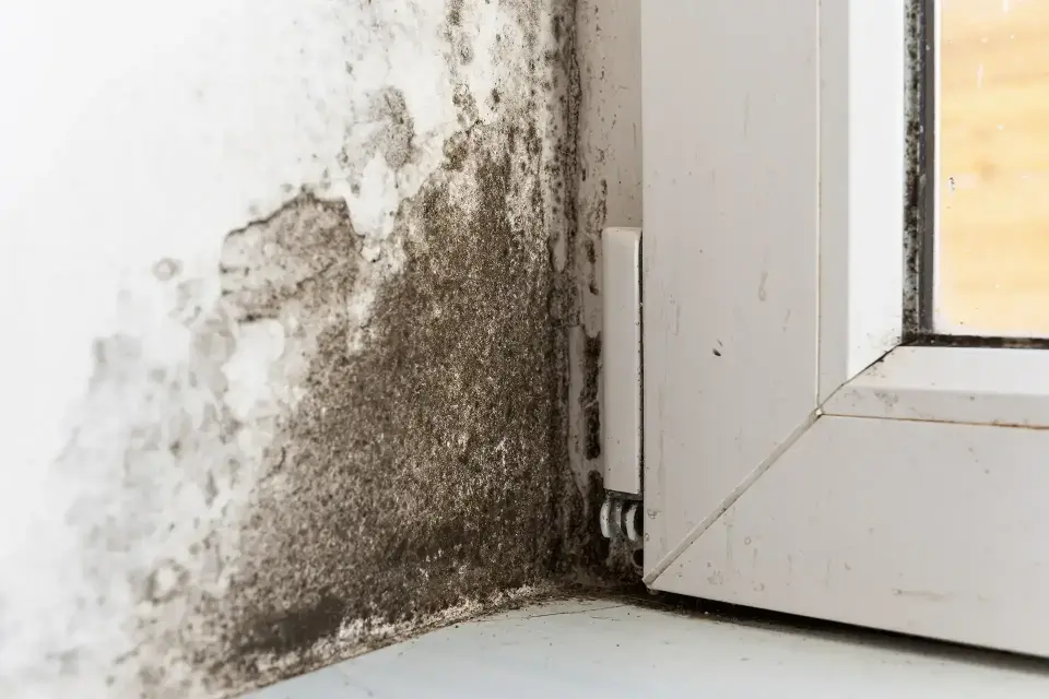 Restoring Comfort and Safety to Your Property — Greeley, CO